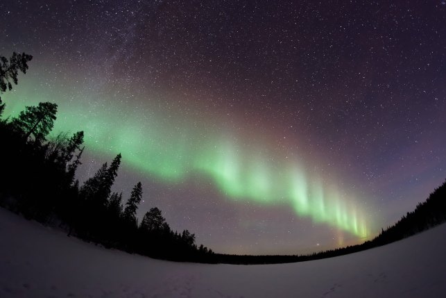 vincent-guth-183405-unsplash